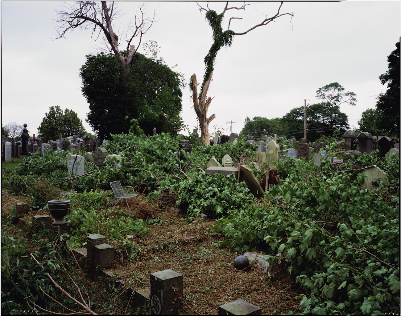 Acacia Cemetery, Queens, New York, 2008