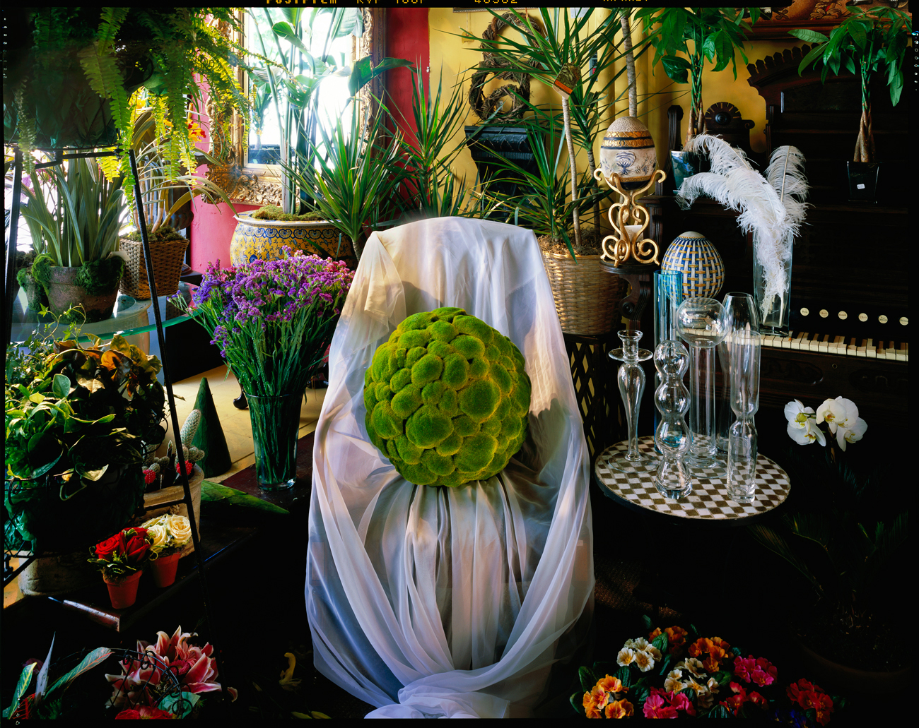 Artificial moss ball, florist display, East 23rd Street, New York City, 2006
