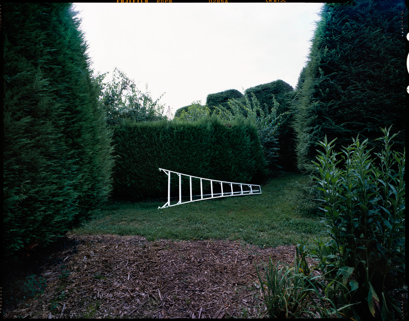 Ladew Topiary Gardens, Monkton, Maryland, 2003