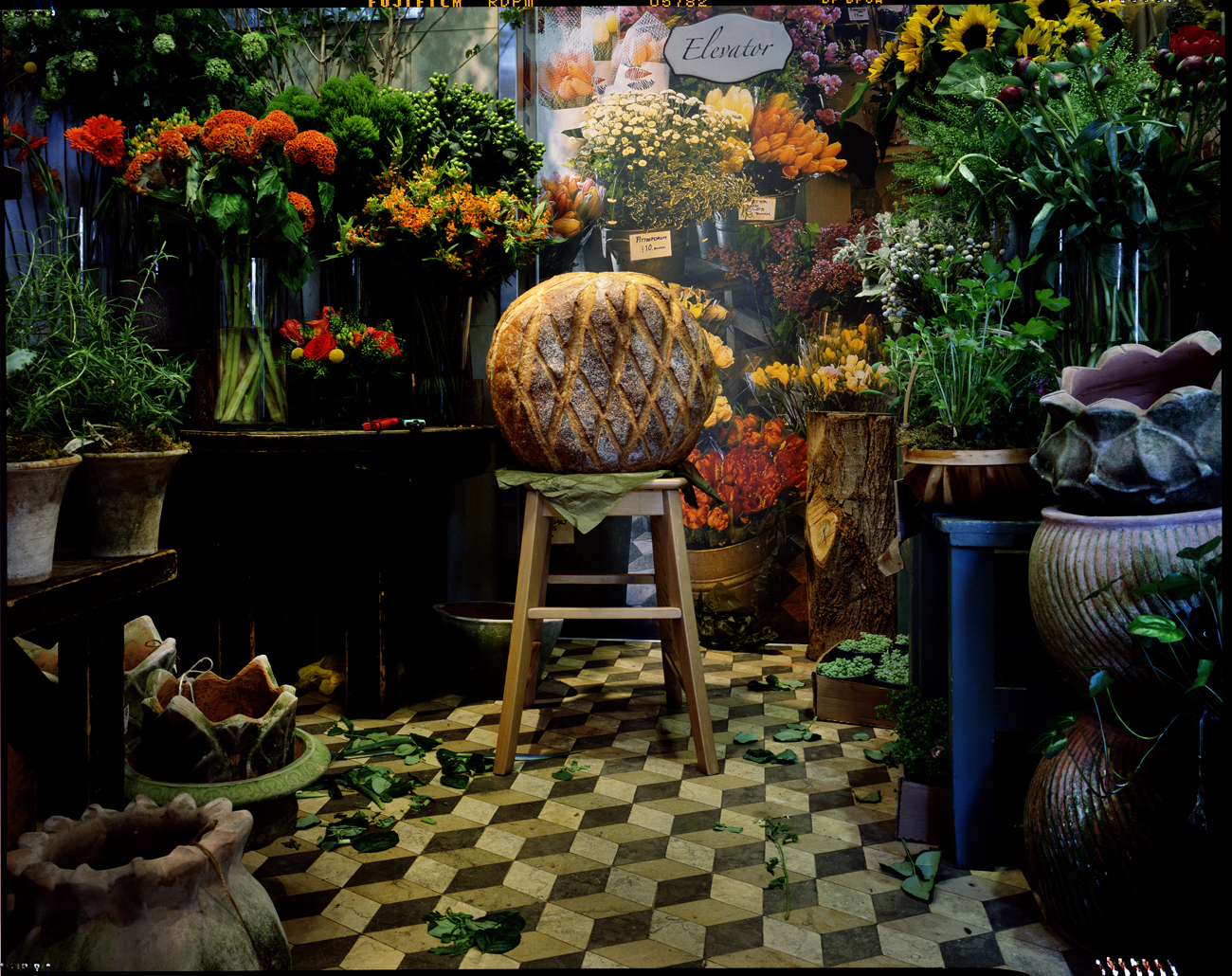 Zabar’s Florist Shop, New York City, 2015