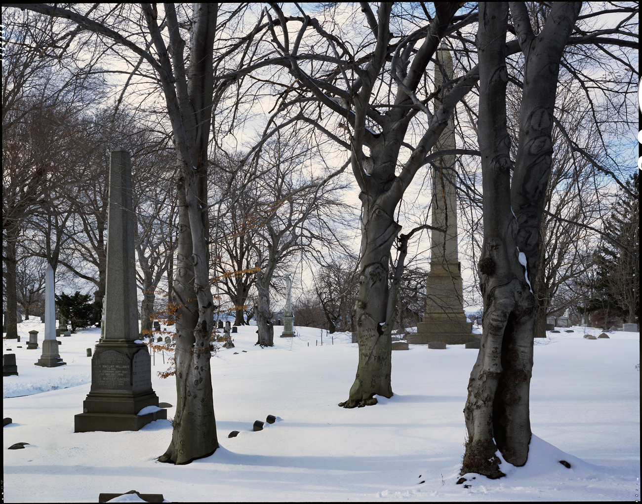 Green-Wood Cemetery, Brooklyn, New York, 2010