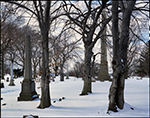 Green-Wood Cemetery, Brooklyn, New York, 2010